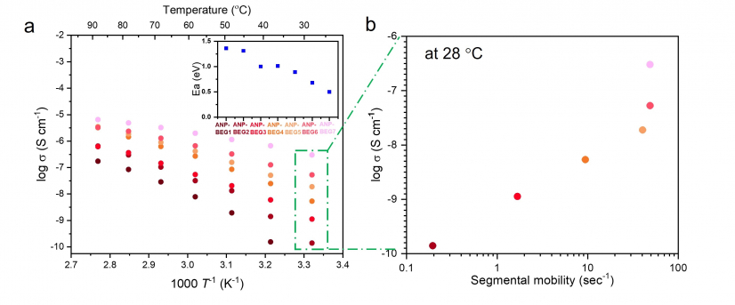 離子傳導性質 a) ANP-BEGs的隨溫度變化的離子電導率，插圖為活化能 b) 28 °C下離子電導率和鏈段運動的關系
 